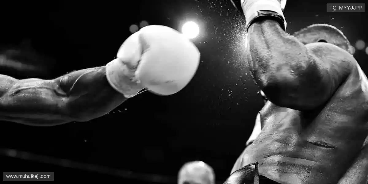 专属运动潮流,让热爱触手可及!🎁👕